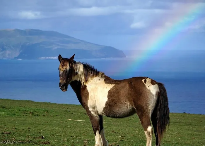 Holiday home Casa Da Avo Julia Faja Grande